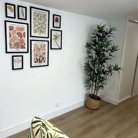 Cocon Chaleureux Au Coeur De アパート